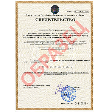 Свидетельство о регистрации в РФ